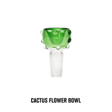 Load image into Gallery viewer, Hemper Cactus Jack Box