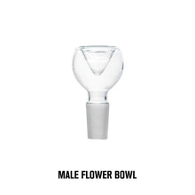 Load image into Gallery viewer, HEMPER Sea Turtle Box