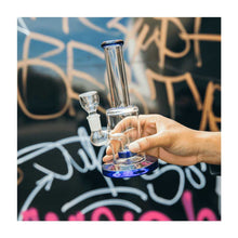 Load image into Gallery viewer, FALSE